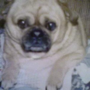 Meet your Posher, Lori